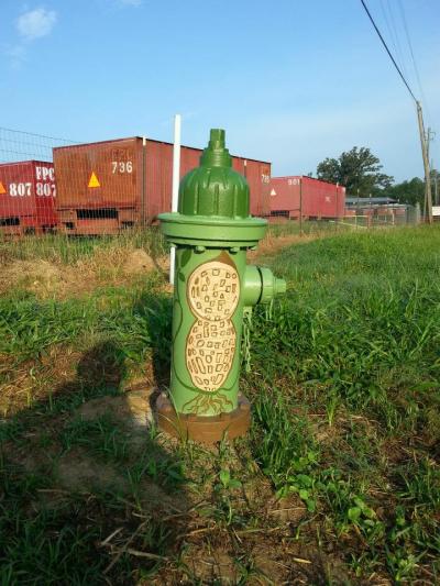 Painted fire hydrant by the Whigham Community Council group
